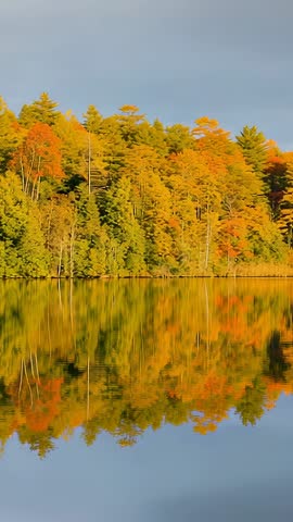 Vertical footage of shifting sunlight drenching autumn forest and golden lake reflection