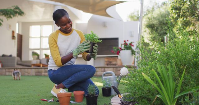 Happy african amercian woman gardening holding pot plant in garden. staying at home in self isolation during quarantine lockdown.