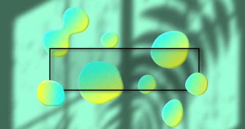 vibrant abstract blobs with tropical leaf shadows - Download Free Stock Images Pikwizard.com