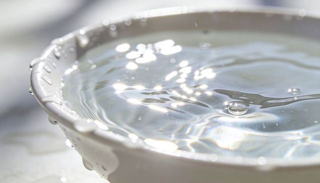 Sunlit water rippling in white ceramic bowl reflecting sparkling bokeh highlights