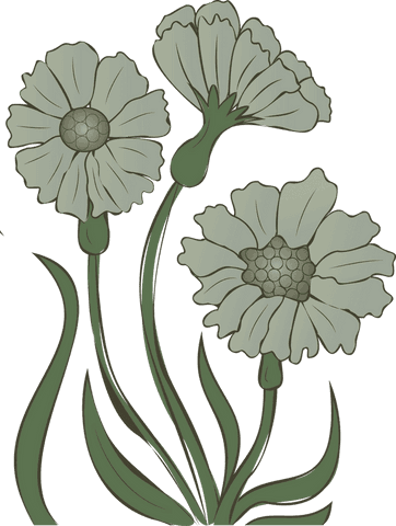 Elegant botanical illustration of flowers on transparent background