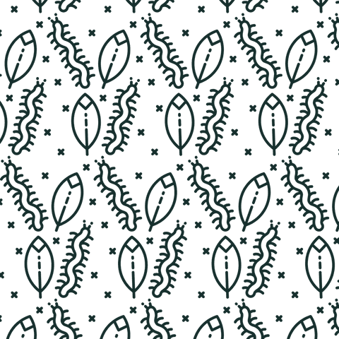 Seamless Black Leaf Centipede Pattern Transparent Background - Download Free Stock Videos Pikwizard.com