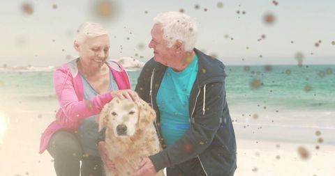 Senior couple petting golden retriever on sunny beach, retirement companionship calm