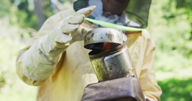 Beekeeper Using a Smoker in Sunlit Garden - Download Free Stock Images Pikwizard.com