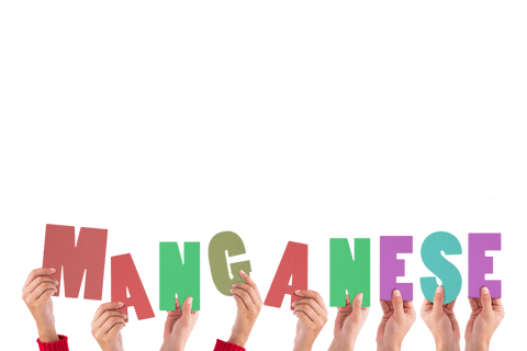 hands holding multicolored manganese text on transparent background - Download Free Stock Videos Pikwizard.com