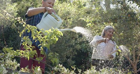 Senior Biracial Couple Watering Plants in Lush Garden