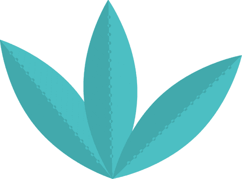 Abstract transparent teal leaves in minimalist design