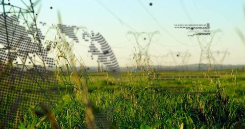 Sunlit meadow with swaying tall grass, distant power pylons and halftone code overlay