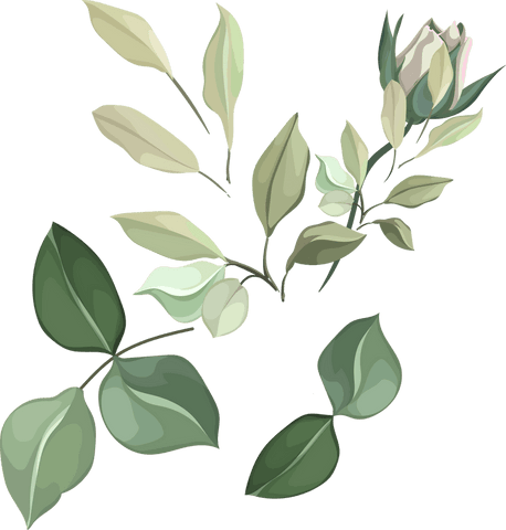 transparent foliage sprigs with delicate flower bud illustration - Download Free Stock Videos Pikwizard.com