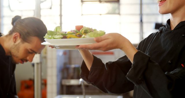 Chefs Preparing and Presenting Fresh Salad in Professional Kitchen - Download Free Stock Images Pikwizard.com