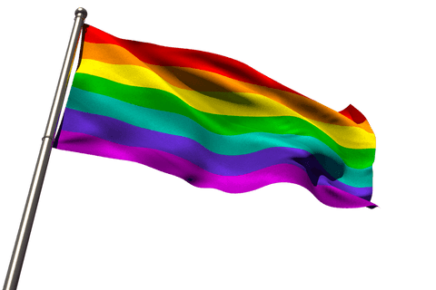 Transparent Rainbow Flag Supporting LGBTQ+ Community on Pole - Download Free Stock Videos Pikwizard.com