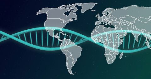 Global DNA Research Mapping World Connections