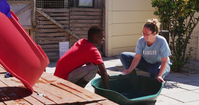 Diverse Volunteers Washing Dog Bed Under Sunshine - Download Free Stock Images Pikwizard.com