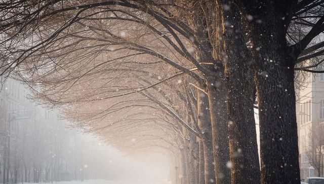 Row of Bare Winter Trees Arching Over Snowy Avenue with Falling Snow and Soft Golden Light