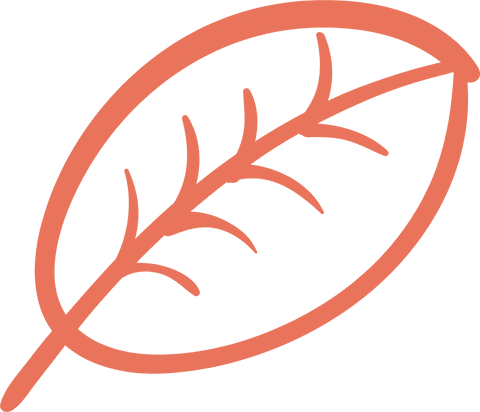Orange Leaf Silhouette on Transparent Background - Download Free Stock Videos Pikwizard.com
