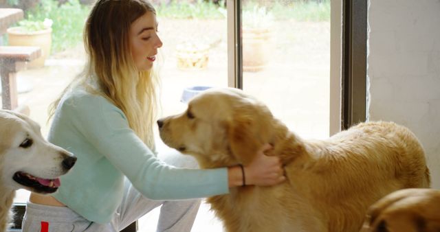 Young woman spending quality time with her golden retrievers at home. She is gently embracing one dog while another canine observes, creating a heartwarming indoor situation. This image is ideal for promoting pet care products, relationship bonding with pets, or advertisements aimed at pet lovers. Perfect for websites, blogs, and marketing materials focused on pet lifestyle and well-being.