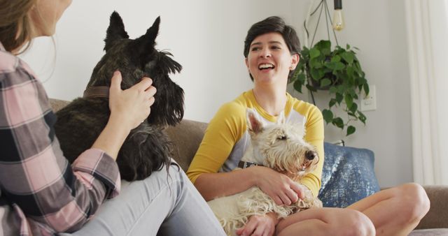 Caucasian lesbian couple playing with their dogs sitting on the couch at home - Download Free Stock Photos Pikwizard.com