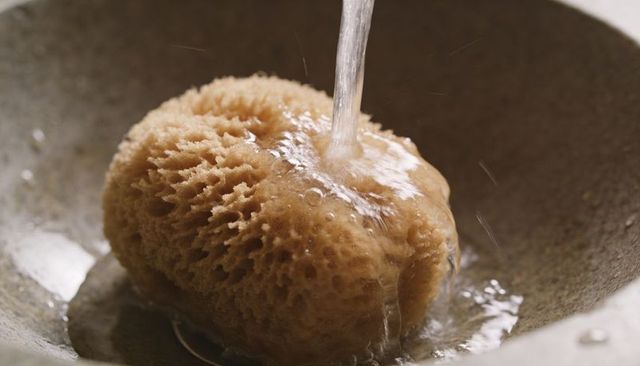 Flowing water pouring over natural sea sponge in gray ceramic basin macro texture