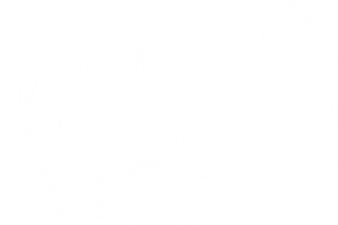 Transparent Digital Network Vector Illustrating Connectivity - Download Free Stock Videos Pikwizard.com