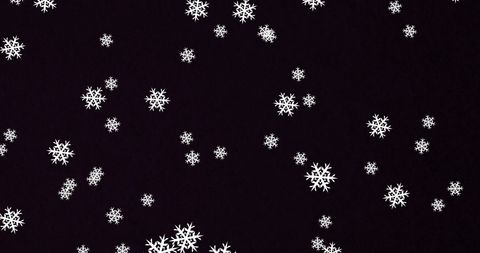 Falling Snowflakes on Black Background