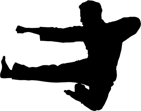 transparent silhouette of male martial artist in jump - Download Free Stock Videos Pikwizard.com
