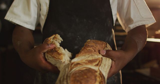 A baker is seen holding a freshly baked artisan bread loaf in a rustic bakery atmosphere. The baker is wearing a white shirt and dark apron, emphasizing the artisan nature of the bread-making process. Ideal for use in websites or advertising focused on traditional baking, culinary arts, food photography, and homemade bread recipes.