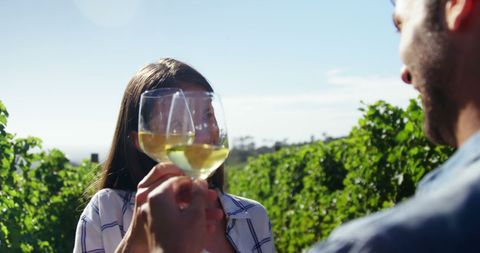 Joyful Wine Toast in Scenic Vineyard