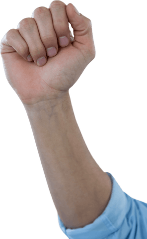 transparent raised clenched fist symbolizing strength - Download Free Stock Videos Pikwizard.com