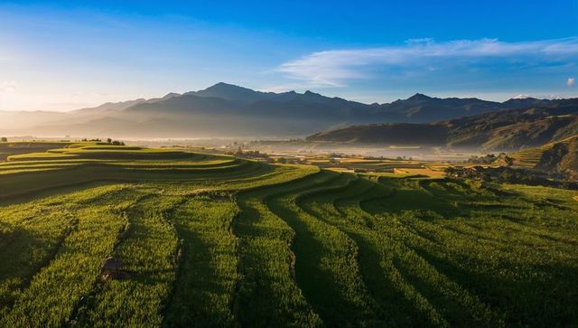 Sunlit terraced rice fields cascading across misty mountain valley at sunrise, rural hut