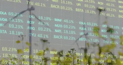 Code Grid Tracking Wind Output with Turbines and Natural Scenery