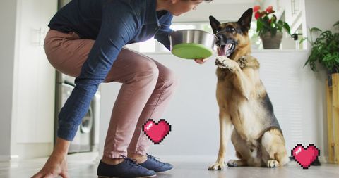 Woman Feeding German Shepherd with Digital Love Icons
