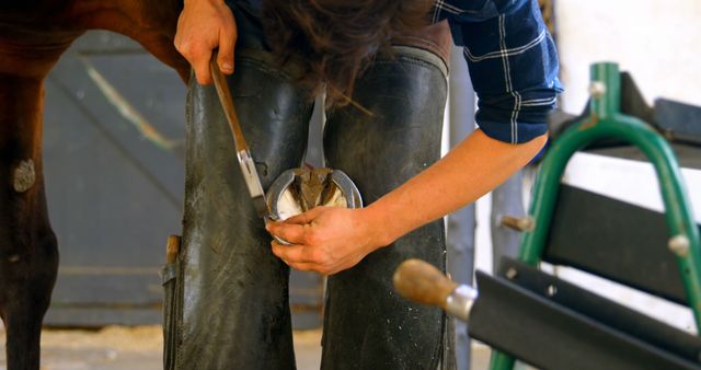 Farrier Shoeing Horse with Hammer and Anvil - Download Free Stock Images Pikwizard.com