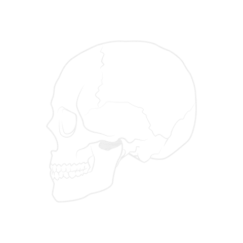 Transparent Skull Illustration on Clear Background for Graphic Design - Download Free Stock Videos Pikwizard.com