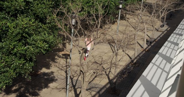 Person Jogging on Sunlit Path Lined with Trees - Download Free Stock Images Pikwizard.com