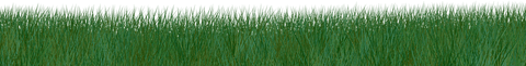 Transparent Green Grass Lawn Ecology Concept Image - Download Free Stock Videos Pikwizard.com