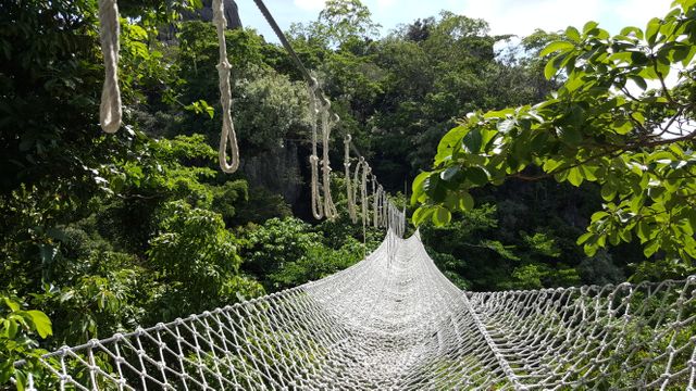 Captures adventurous rope bridge stretching through the dense foliage of a vibrant green forest. Ideal for natural exploration, adventurous travel themes, or nature walks, showcasing the blend of serene natural beauty and thrill of crossing a suspension bridge.