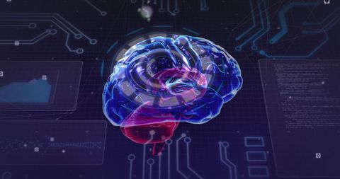 Futuristic Human Brain Data Visualization in Digital Interface - Download Free Stock Images Pikwizard.com