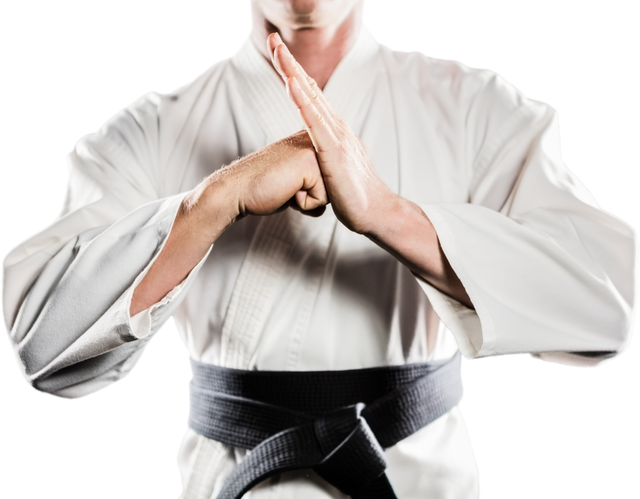 Martial Artist Performing Hand Salute with Transparent Background - Download Free Stock Videos Pikwizard.com