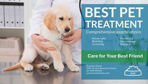 veterinary healthcare promotion featuring puppy check-up - Download Free Stock Templates Pikwizard.com