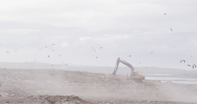 An excavator is operating in a misty landfill while birds are flying overhead. There is a lot of trash and debris visible on the ground. This can be used for topics related to waste management, environmental issues, pollution, construction activities, and industrial machinery. Suitable for articles, presentations, advertisements, or educational materials on environmental impact, waste disposal, and recycling.