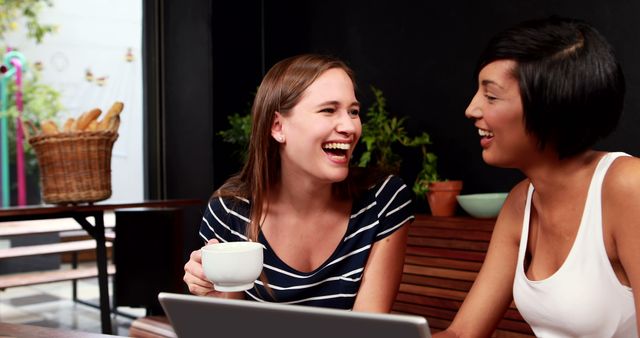 Two Women Laughing over Coffee in a Cozy Cafe - Download Free Stock Images Pikwizard.com