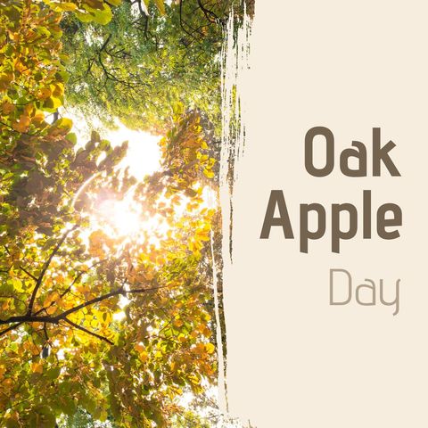 Oak Apple Day Celebration with Vibrant Sunlit Foliage - Download Free Stock Templates Pikwizard.com