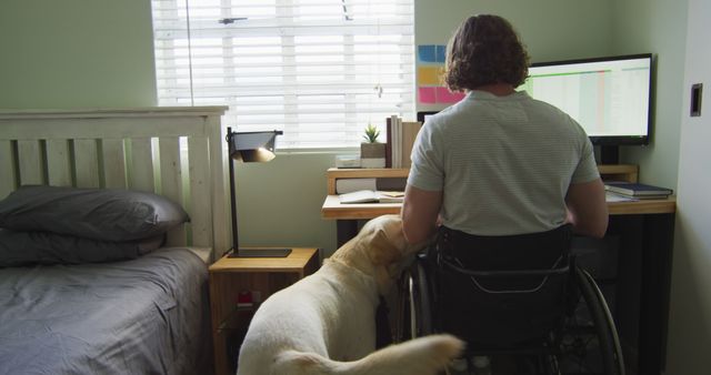 Focused caucasian disabled man in wheelchair using computer in bedroom with his pet dog - Download Free Stock Photos Pikwizard.com