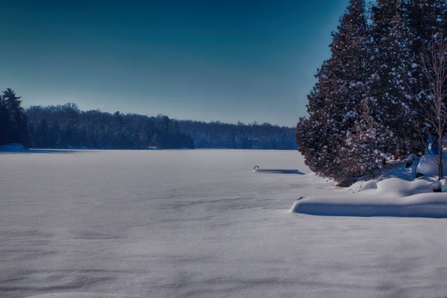 This serene winter scene of a snow-covered frozen lake surrounded by pine trees is perfect for projects related to nature, tranquility, winter sports, and seasonal landscapes. Use this to highlight winter tourism, relaxation, or beauty in nature themes.