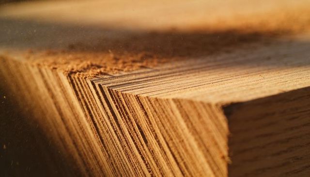 Close-up plywood edge revealing layered veneers, adhesive seams and wood grain texture