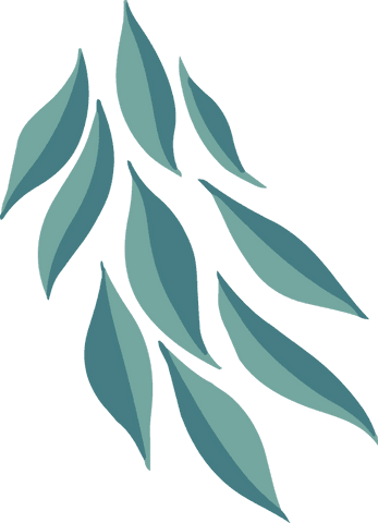 Teal abstract leaf forms on transparent background