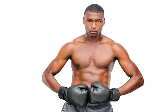 African American Boxer Posing on Transparent Background - Download Free Stock Videos Pikwizard.com