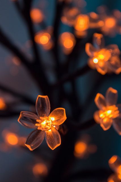 Closeup of glowing blossoms with warm orange fairy lights, highlighting delicate flower-like shapes. Perfect for use in topics related to cozy decor, warm ambiance, lighting inspirations, festive decorations, and night-time photography.