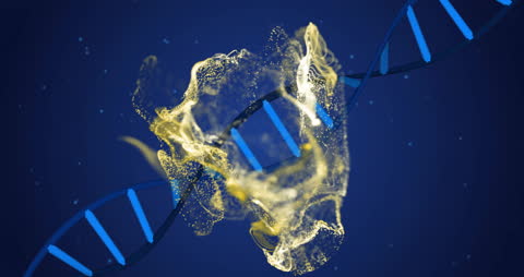 Dynamic DNA Helix with Molecular Structures in Blue