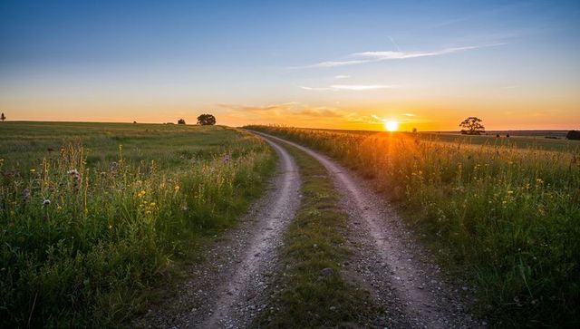 Sunset winding gravel country road curving through wildflower meadow toward horizon
